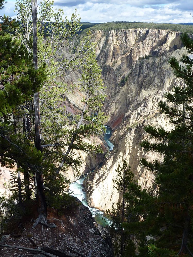 Canyon village (23).JPG